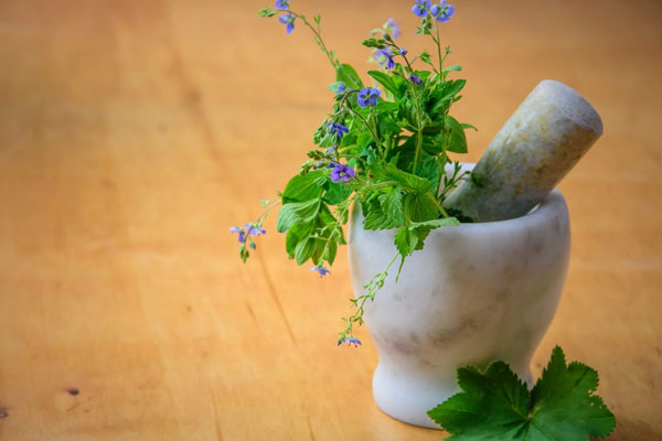 herbal-concept
